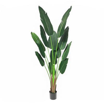 China Real Touch Lorenda PLRJ01 Home Office Wedding Hotel Decor Fake Bonsai Plants Plastic Trees Artificial Traveler Banana Tree With Pot for sale