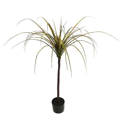 China PBXT01 Real touch Brazil bonsai plant decor artificial dracaena fragrans draco indoor silk potted sanderiena tree for sale