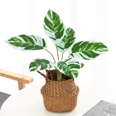 China Real Touch New Designed PZY01 Paraffin Oil Painting Potted Arrowroot Leaves Fake Artificial Plants In Pots For Indoor Home Decor for sale