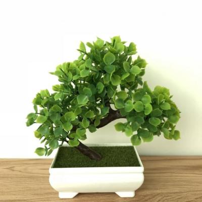 China Wholesale home artificial bonsai dragon grass decoration home simulation PENZ011 small plastic plant tree sale with pot for sale