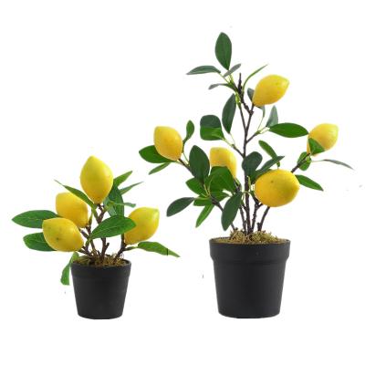 China Real Touch PNM01 New Styles Plastic Faux Potted Mini Lemon Tree Artificial Plant For Home Office Decoration for sale