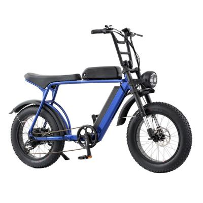 China Wholesale Aluminum Alloy Customized Good Quality 750w Mountainbike 100nm Electric Mountain Bike Electric Bicycle for sale