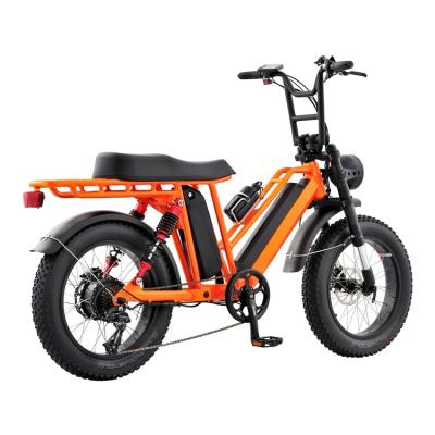 China Wholesale Aluminum Alloy Customized Chinese Fat Tire Mountain Electric Bike 500w 750w Good Quality Price for sale