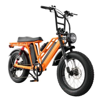 China Wholesale Aluminum Alloy Customized Fat Tire Good Quality Electric Bicycle Mountain Bike for sale