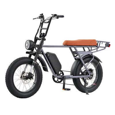 China Wholesale Aluminum Alloy Customized Fat Tire Motor Electric Mountain Bike Good Quality for sale