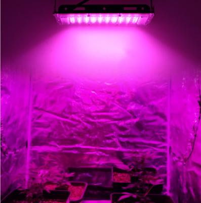 China Easy Install Best Commercial Horticulture Grow Light LED Grow Light Vertical Agricultural Plant Growth Light Lamp Spectrum 50w 100W 200w 300w for sale