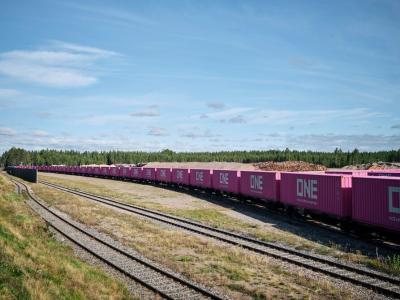 Cina Trasporti internazionali di merci in treno DDP in 35-45 giorni in vendita