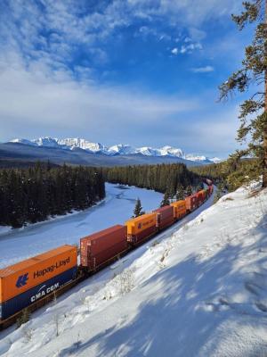 China Lokale Lagerung Wirtschaftliche Eisenbahngüter Transportdienst Versandfracht Eisenbahn zu verkaufen