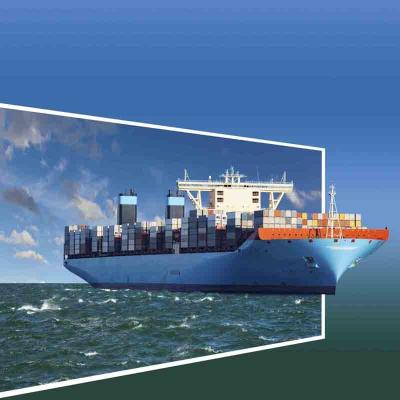 China FOB Handelsduur Zeevracht Volle container 20FT 40HC van naar België Brussel Antwerpen Zeebrugge met expediteur Te koop