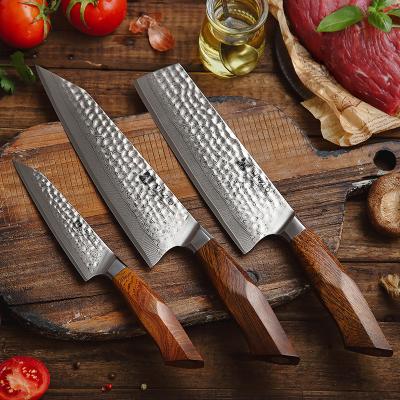 China Sustainable Original Japan 49 Layers SRS 13/SG2 Damascus Stainless Steel Kitchen Chef Knife Set Powder for sale