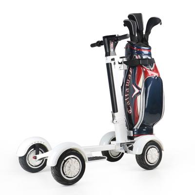 China EcoRider Unisex E7-1 W 2000 10 Inch Tire 4 Wheels Folding Electric Golf Board Scooter Electric Golf Scooter With Removable Battery for sale