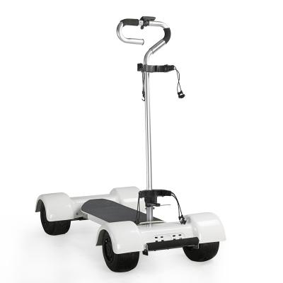 China Adult 2000W EcoRider Electric Golf Scooter E7-2 Four Wheels Golfboard Self Balancing Electric Scooters Golf Electric Scooter for sale