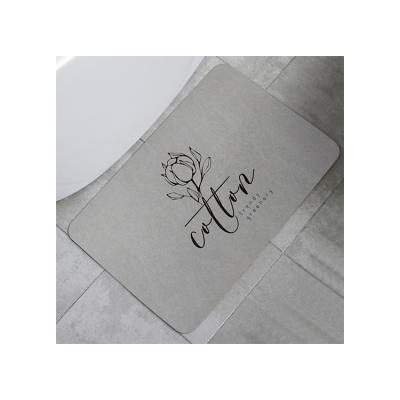 China Sale New Type Bath Mat Bathroom Quick Dry Quick Dry Shower Sustainable Well Mat for sale