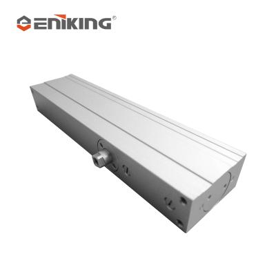 China Modern Heavy Duty Cold Room Door Closer Concealed Door Closer Multifunctional Automatic Door Closer for sale