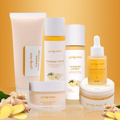 China Face 2021Hot Selling Turmeric Skin Care Set Turmeric Herbal Skin Care Set Whitening Moisturizing Anti Aging Skin Care Set Private Label for sale