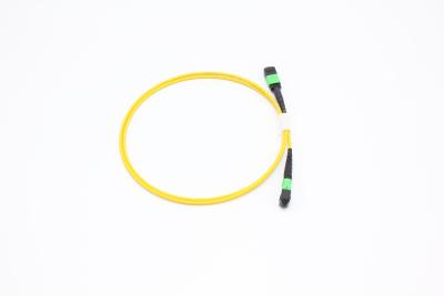 Chine OM3/OM4 MPO connecteur patch cord 12 fibre MPO câble de tronc 8/12/24F MTP MPO câble pour le centre de données à vendre