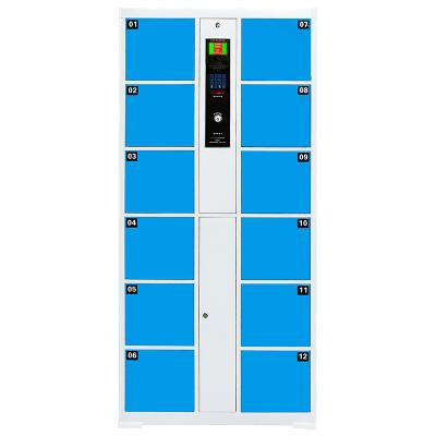 China Smart Digital Factory Price Home Delivery Lockers Indoor Metal Parcel Delivery Locker for sale