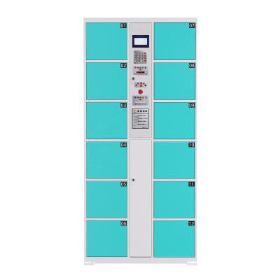 China Hot Selling Digital Steel 12/24/36 Door Swimming Pool Coin Lockers Public Storage Cabinet Smart Cabinet for sale