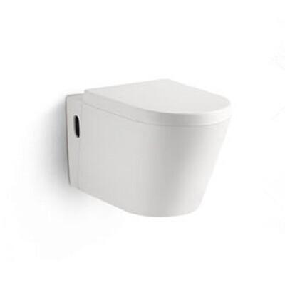 China Sanitary Ware Toilets Ceramic Washdown P-trap 180mm Roughing-in Bathroom Wall-hung Toilet for sale