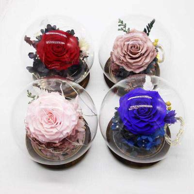 China Holiday decoration & Gift preserved fresh roses in large round glass dome with led light for sale