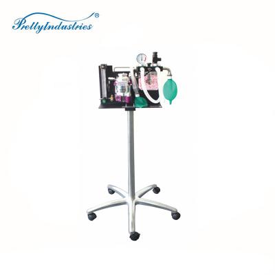 China HISV-D Desktop And Mobile Veterinary Pet Anesthesia Machine For Dog And Cat for sale