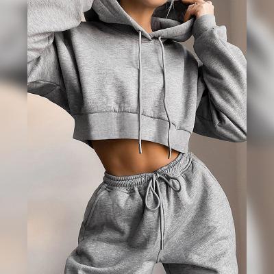 China 2020 New Autumn Women's Fashion Cotton Suit All-match Breathable Casual Two-piece Sweater High Waist Long Sleeve Hooded for sale