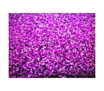 China Eco-friendly Factory Manufacture Various Popular Cricket Carpets Pit Grass Artificial Turf for sale