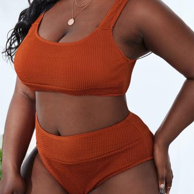 China Women's Plus-Size Swimwear Breathable Bikini For Fashion Show Fat Women Sexy Two-Piece Bikini Swimwear Women for sale