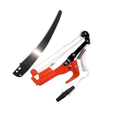 China Horticulture High Altitude Scissors Garden Tools Shears Wood Shears Sticks Saw for sale