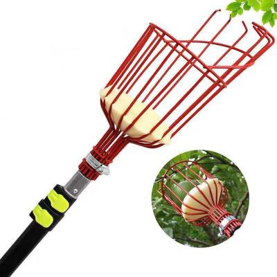 China Manual Head Telescopic Basket Garden Tools Pole Metal Apple Fruit Harvester Eco - Friendly for sale