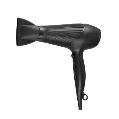 China DC Motor Ion Diffuser High Speed ​​Hair Dryer Professional for sale