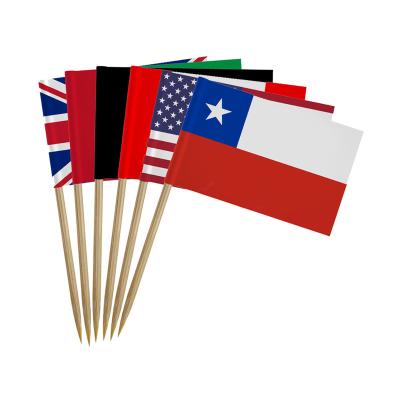 China 100pcs Disposable Food Flag Customized Birch Wood Printing Wooden Toothpick Flag for sale