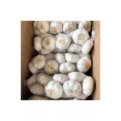 China 2022 Healthy Fresh Garlic China Garlic Exporter New Culture Wholesale High Quality Plain White Garlic for sale