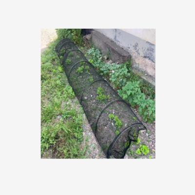 China 2021 Durable Popular 3 Meters Plant Protection Net Plant Tunnel Growing Net Insect Control Net for sale