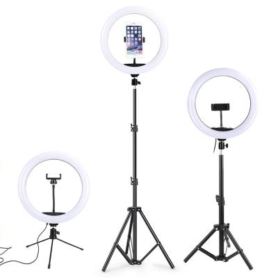 China 18 Inch Mini 6 8 10 12 14 Light Ring Light With Tripod Stand from Photographs for sale