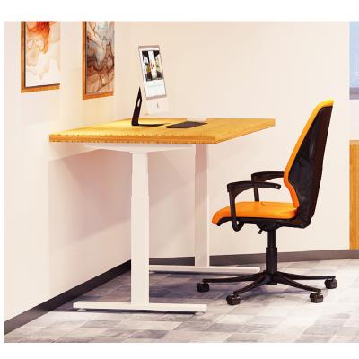 China Factory Adjustable Sit-Rack Table Chinese Smart Height Adjustable Computer Standing Computer Desk (Height) for Wholesale for sale