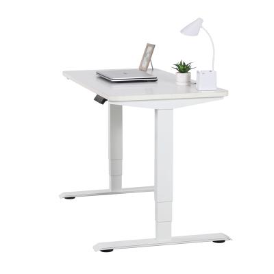 China Adjustable (Height) Quality Guaranteed Ergonomic Dual Electric Motor Motorized Height Adjustable Sit Stand Desk for sale