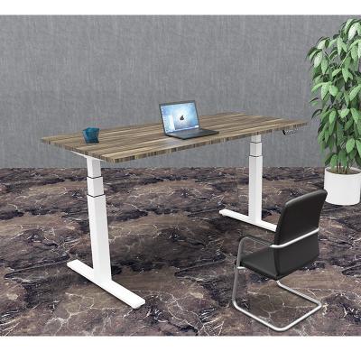 China Best Height Adjustable Stainless Steel Electric Height Adjustable Desk Metal Desk for Commercial and Household for sale