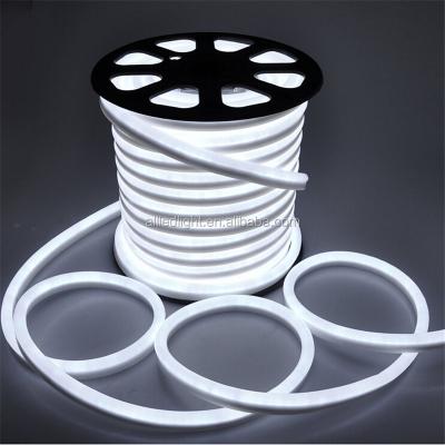 China Decorative Neon Cable LED Neon Rope Light Hotel RGB Holiday Neon Sign Light Blue Neon Lamp for sale