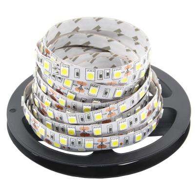 China Garden Led Strip 5050 RGB Lights DC12V Flexible Home Decoration Lighting Led Strip Waterproof RGB/White/Warm White/Blue/Green/Red for sale