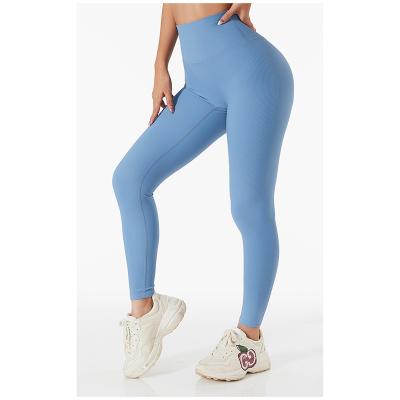 China Breathable Latest Styles Summer Ribbed Seamless Running High Waisted Butt Lifting Up Wholesale Women Yoga Pants for sale