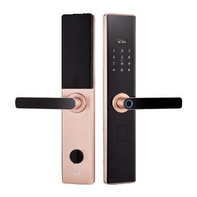 China Biometric Keypad Lock IC Contact Card Door Lock Fingerprint Aluminum Alloy Semiconductor Smart Door Lock For Hotel Office for sale