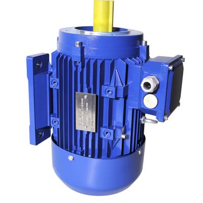 China drip-proof three-phase asynchronous IE2/IE3 electric motor for sale