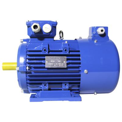 China large power drip-proof three-phase industrial electric motor (IE1/IE2/IE3 series) for sale