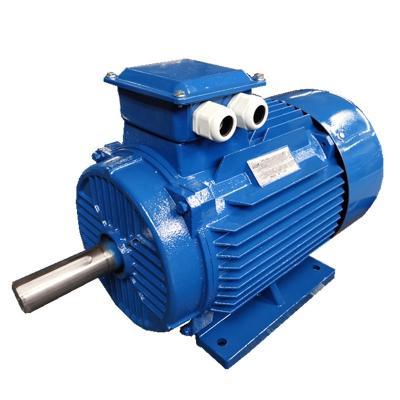 China Ye3-180m-2 Ultra-high Efficiency Three Phase Asynchronous Motor Explosion Proof for sale