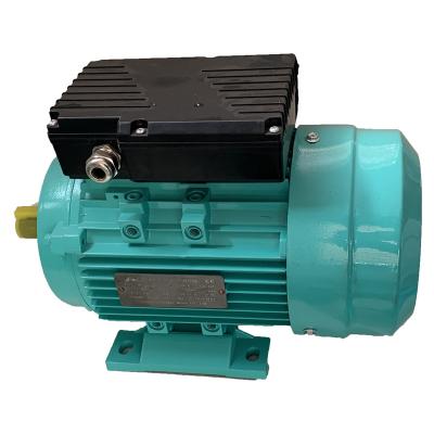 China Explosion-proof Y series motor (Y801-2) on hot sale for sale