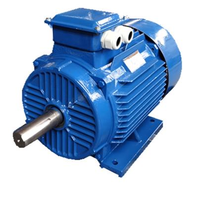 China Electric motor (Y2, YE2, YE3) series explosion-proof three-phase cast iron body for sale