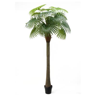 China Real Touch Environment Friendly Artificial Plant 240CM 15 Leaves Fan Palm Plants Decorative For Outdoor Indoor Home for sale