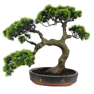 China Top Sales Factories High Quality Environmentally Friendly Artificial Bonsai Tree Pine Plant Decorative For Indoor Outdoor for sale