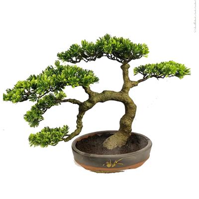 China Hot Sales Plants High Quality Artificial Welcome Tree Pine Plant Environmentally Friendly Decorative Bonsai For Indoor Outdoor for sale